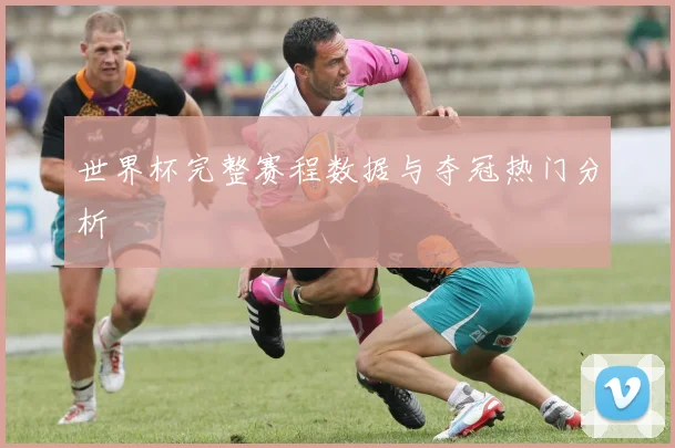 世界杯完整赛程数据与夺冠热门分析