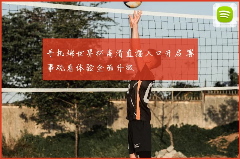 手机端世界杯高清直播入口开启 赛事观看体验全面升级