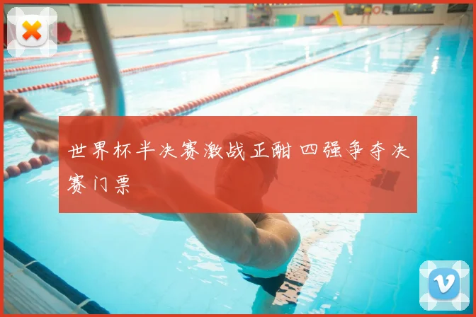 世界杯半决赛激战正酣 四强争夺决赛门票