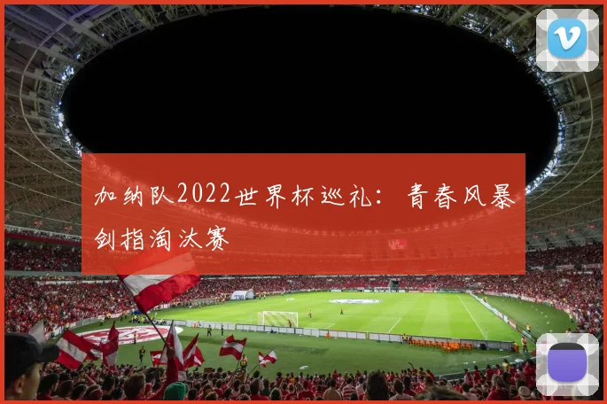 加纳队2022世界杯巡礼:青春风暴剑指淘汰赛