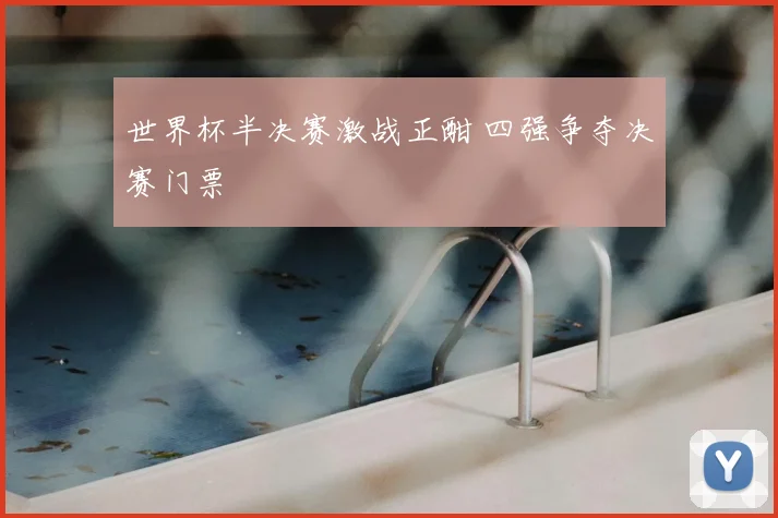 世界杯半决赛激战正酣 四强争夺决赛门票