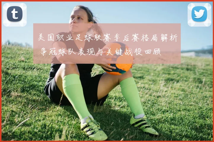 美国职业足球联赛季后赛格局解析 争冠球队表现与关键战役回顾