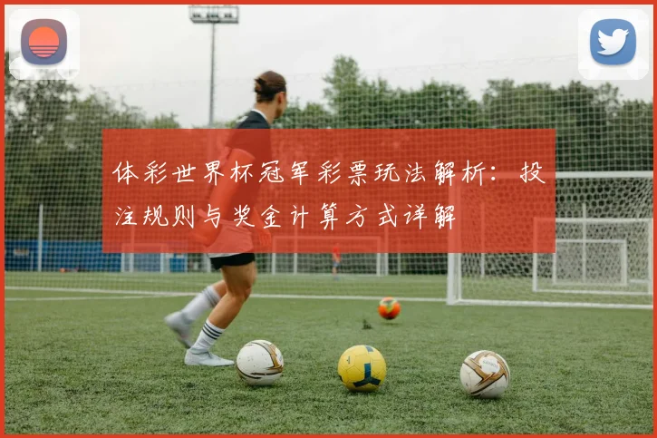 体彩世界杯冠军彩票玩法解析：投注规则与奖金计算方式详解