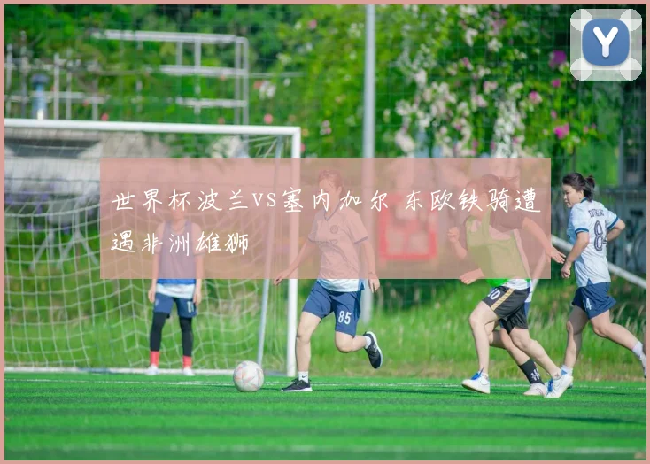 世界杯波兰vs塞内加尔 东欧铁骑遭遇非洲雄狮