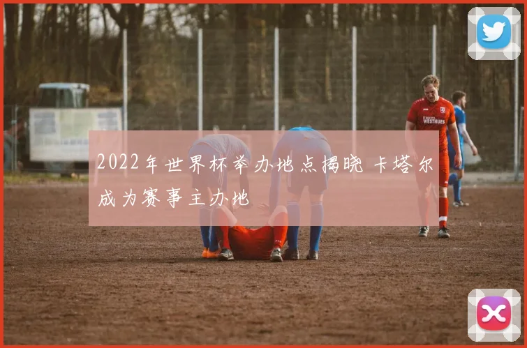 2022年世界杯举办地点揭晓 卡塔尔成为赛事主办地