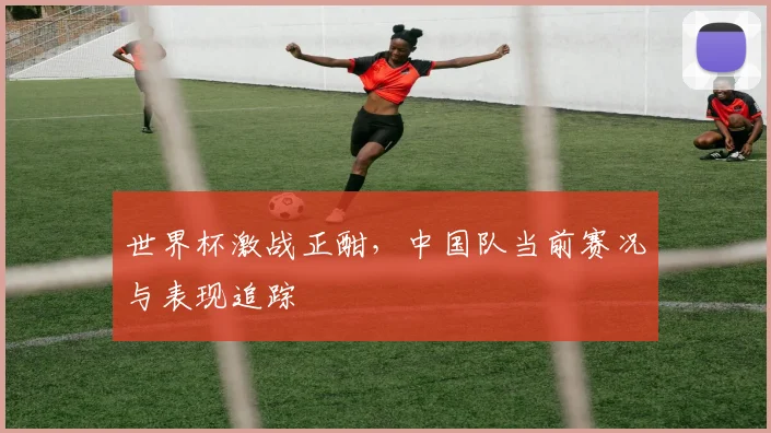 世界杯激战正酣,中国队当前赛况与表现追踪