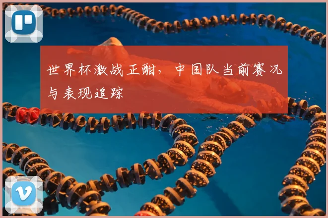 世界杯激战正酣,中国队当前赛况与表现追踪