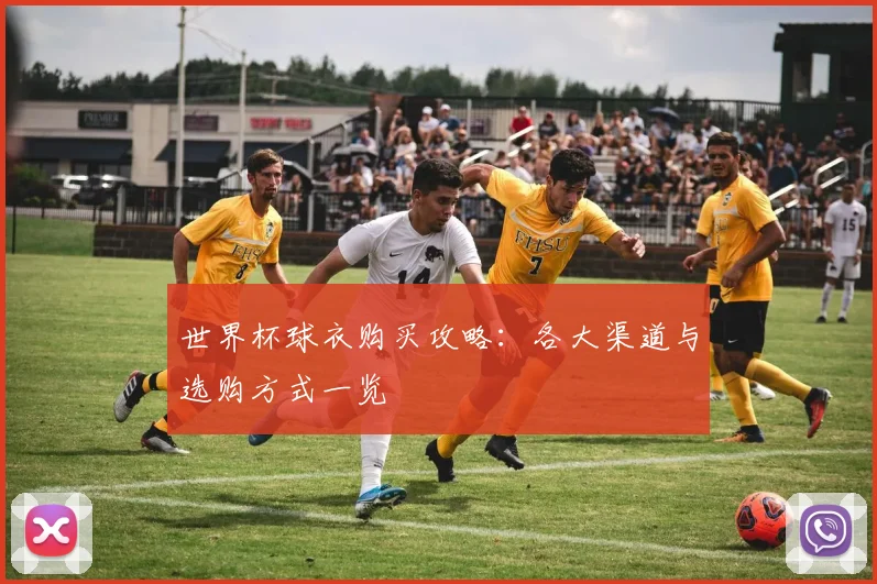 世界杯球衣购买攻略：各大渠道与选购方式一览