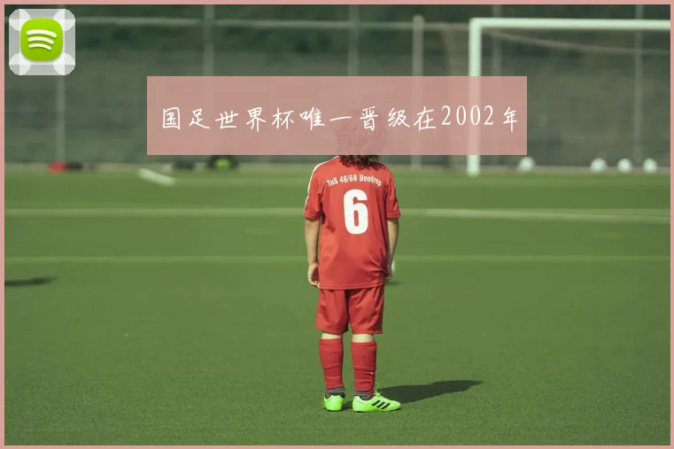 国足世界杯唯一晋级在2002年