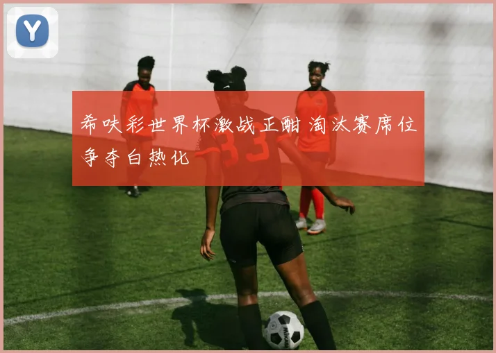 希呋彩世界杯激战正酣 淘汰赛席位争夺白热化
