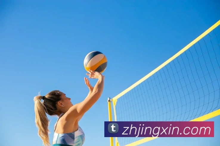 hth体育官网登录入口网址APP 封面图